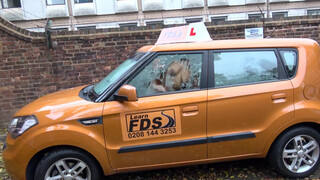 Fake Driving School - Tiffany Russo simán kúr a jogsiért